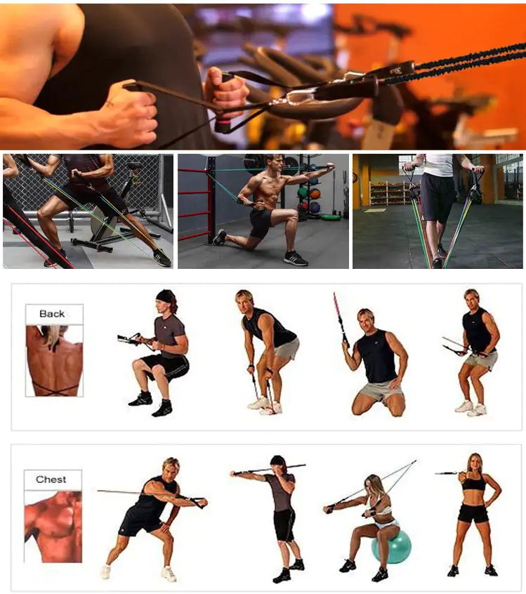 Resistance Band Set – 5 Levels (10–30 lbs)